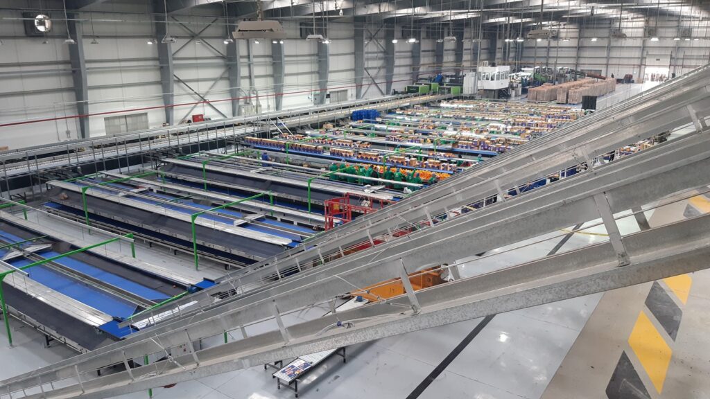 fruit factory egypt fruit factory egypt