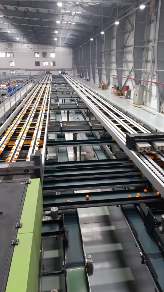 sorting line south africa sorting line south africa
